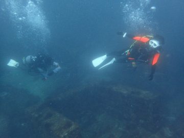 AOW, ＯＷＤ, ＰＡＤＩ, SP, アドバンス, ウェットスーツ, オープンウォーター, オープン講習, ダイブコンピューター, ドルフィンスイム, ドルフィンダイビング, プール, リバーダイビング, 体験ダイビング, 初心者ダイバー, 器材オーバーホール, 大垣, 岐阜, 方座浦, 越前,大瀬崎,湾内,ダイビングツアー,初心者ダイバー,箱島,漁礁,