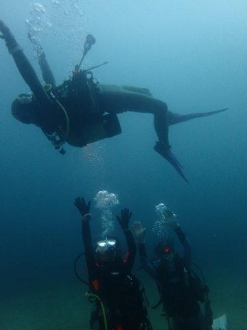 AOW, ＯＷＤ, ＰＡＤＩ, SP, アドバンス, ウェットスーツ, オープンウォーター, オープン講習, ダイブコンピューター, ドルフィンスイム, ドルフィンダイビング, プール, リバーダイビング, 体験ダイビング, 初心者ダイバー, 器材オーバーホール, 大垣, 岐阜, 方座浦, 越前,大瀬崎,湾内,ダイビングツアー,初心者ダイバー,