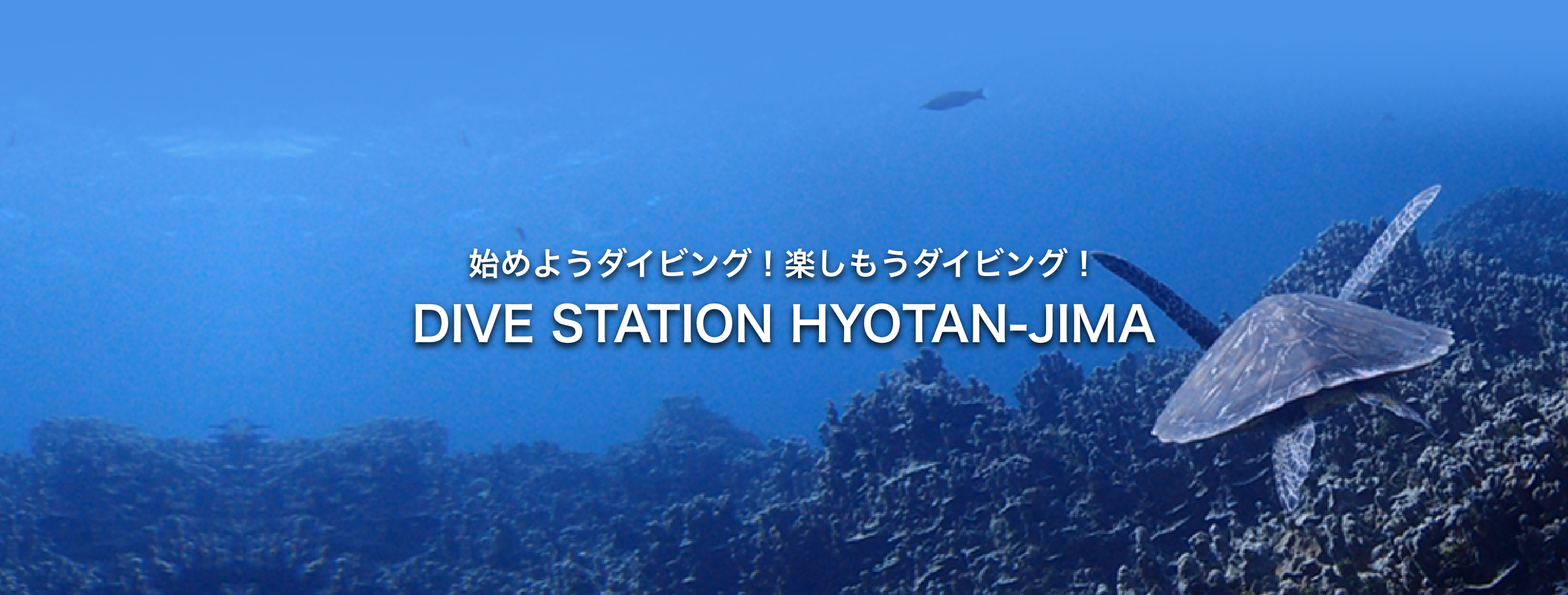 始めようダイビング！楽しもうダイビング！ DIVE STATION HYOTAN-JIMA