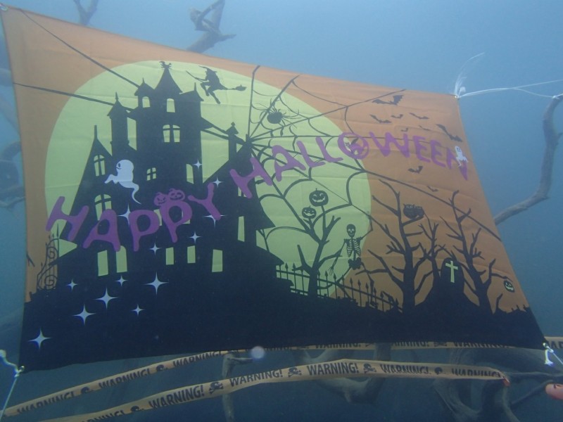 本栖湖ハロウィンナイト＆高所潜水ツアー報告　10月26～27日