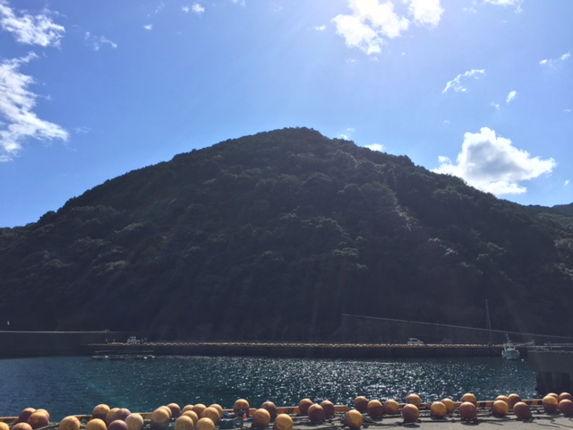 10月20日のひとりごと「うえちゃんは沖縄、コニーさんはサプライズツアーに出てます。」