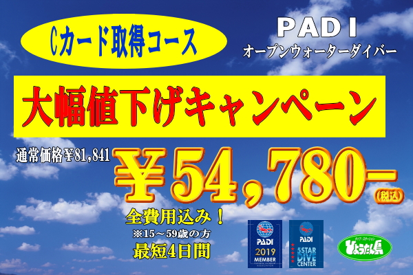 6月8日のひとりごと「この時期の太陽はめちゃめちゃ太陽な感じ」