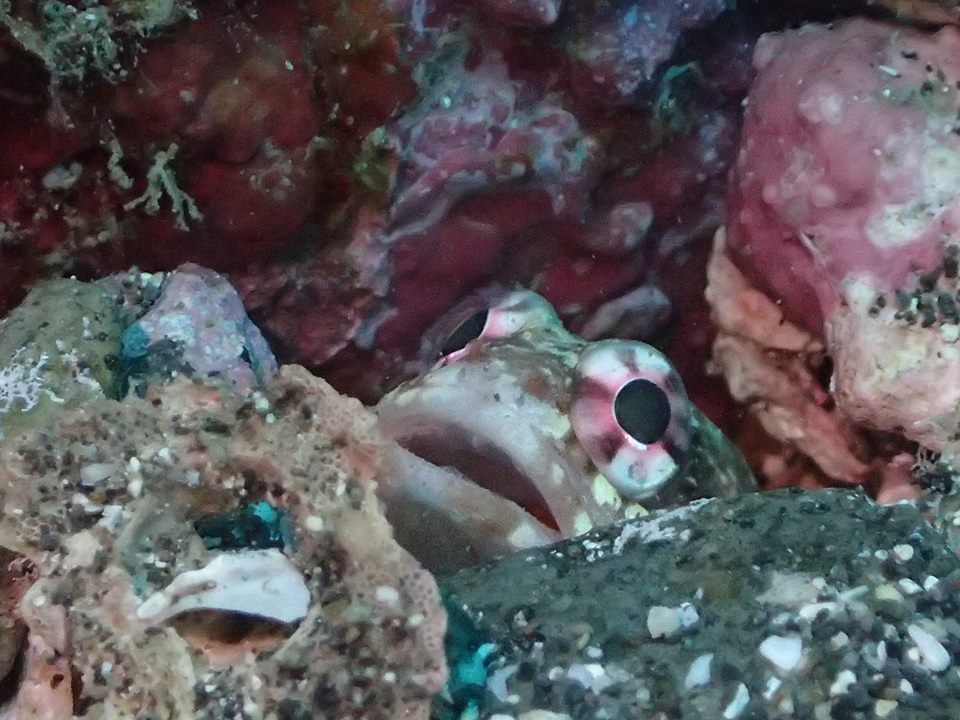 御神島ツアー報告 8月22日　8/24更新