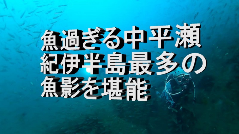 365方座浦ツアー報告　12月4日