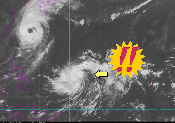 9月29日のひとりごと「台風直撃ですねぇ。台風対策早めにやってます。」
