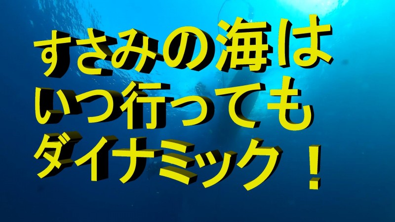 すさみツアー報告　11月22～23日