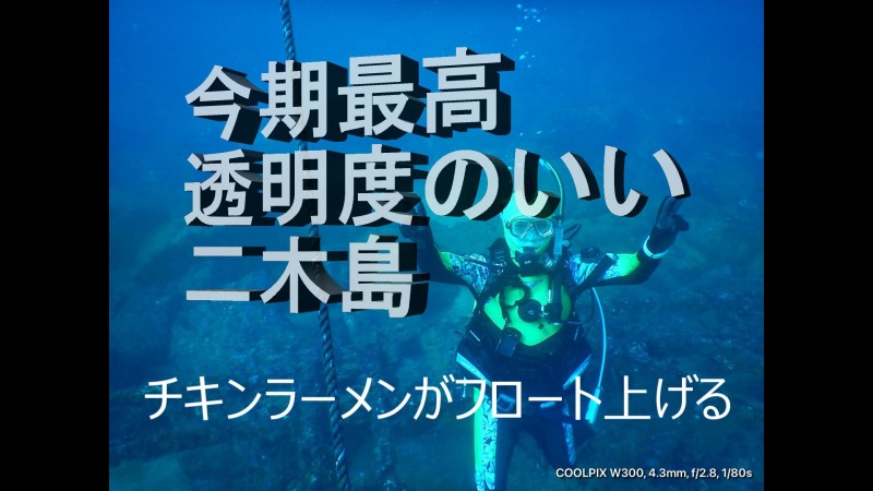二木島ツアー報告（DFDもやってきた）　11月14日