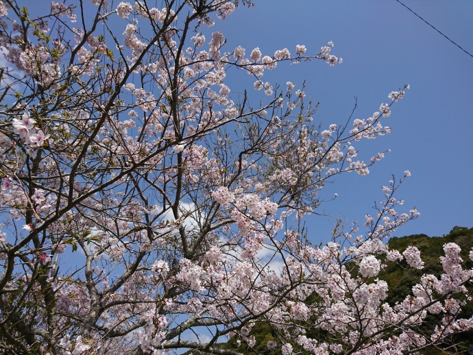 3月26日のひとりごと「ストレス発散しましょう！」