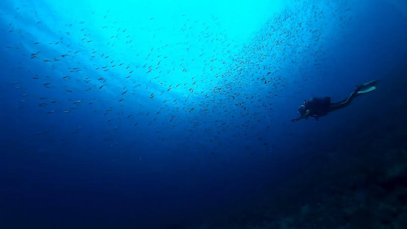 冠島ツアー報告　９月6日