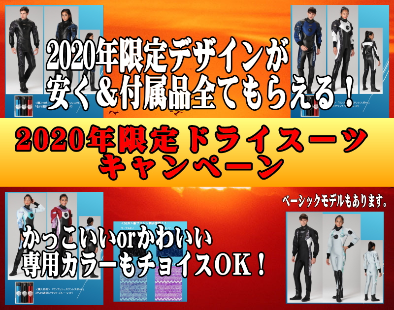 12月3日のひとりごと「今年も透明度いいってさ。」