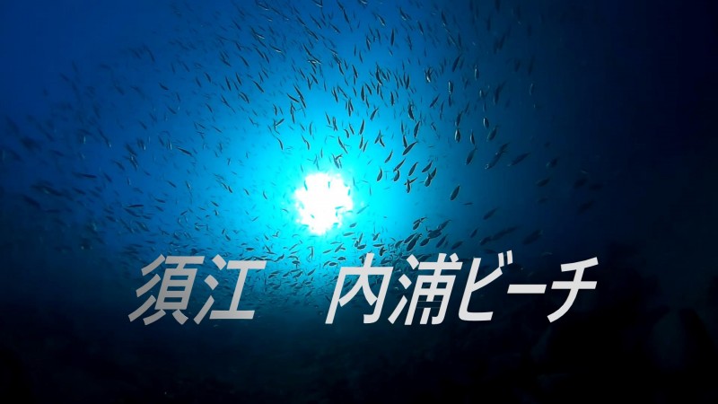 1月14日のひとりごと「ツアー募集です（懇願）」