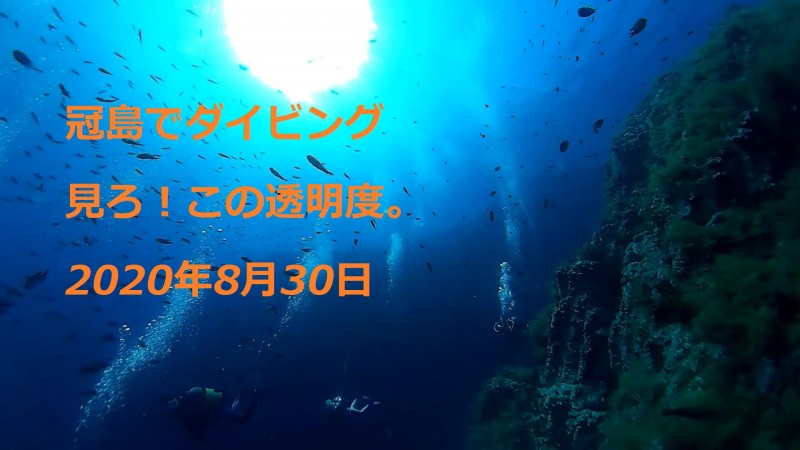 冠島ツアー報告　8月30日