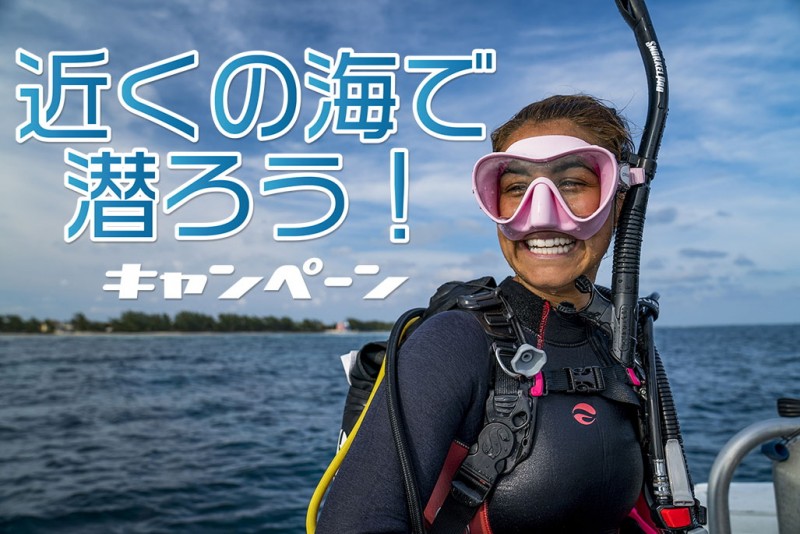 12月1日のひとりごと「あっという間の12月。」